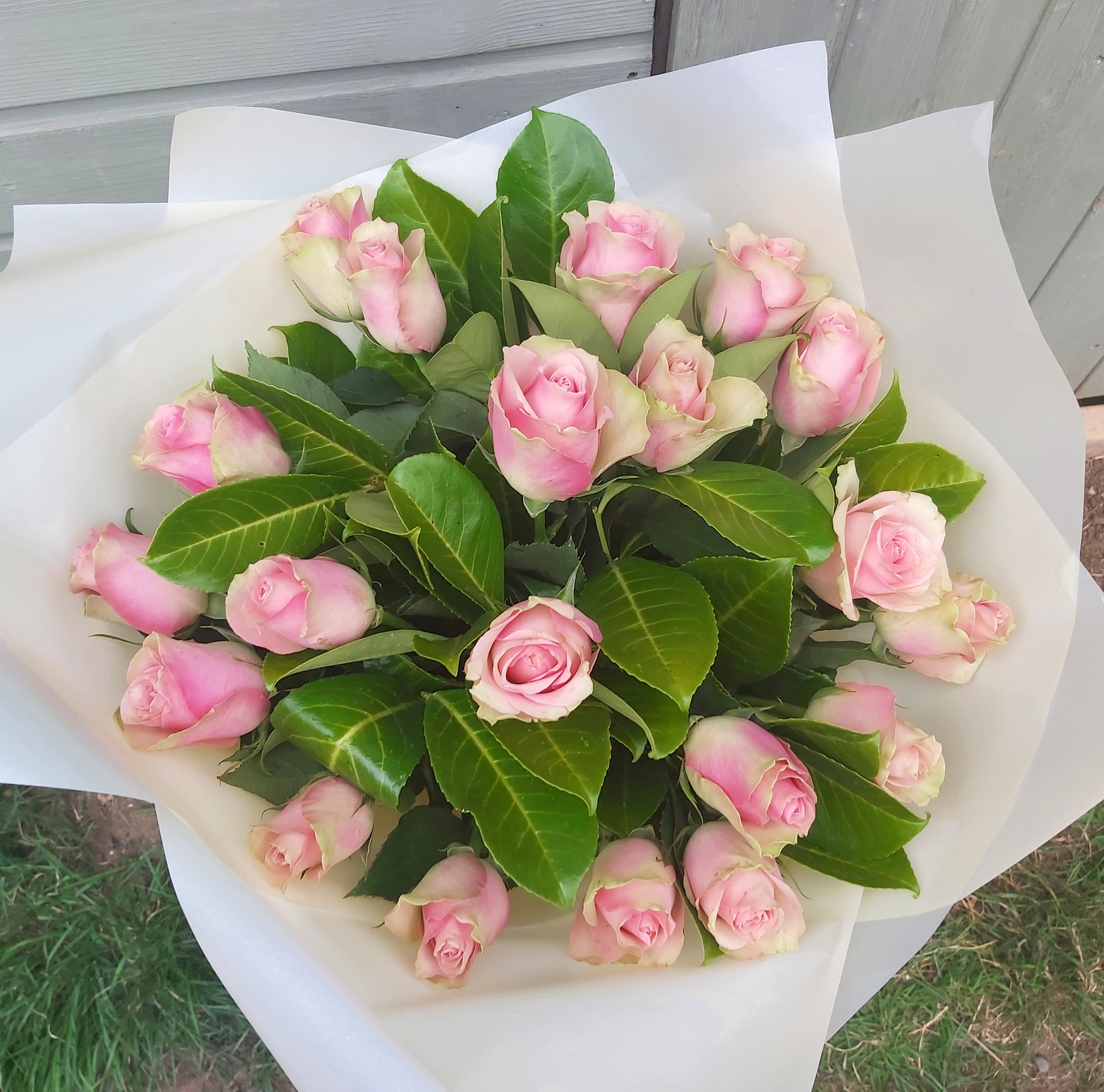 Pink roses bouquet