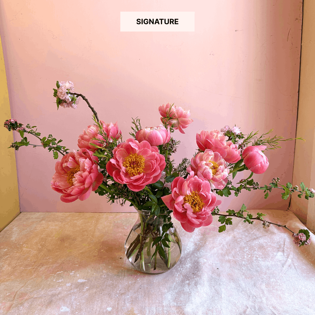 Peony Obsession