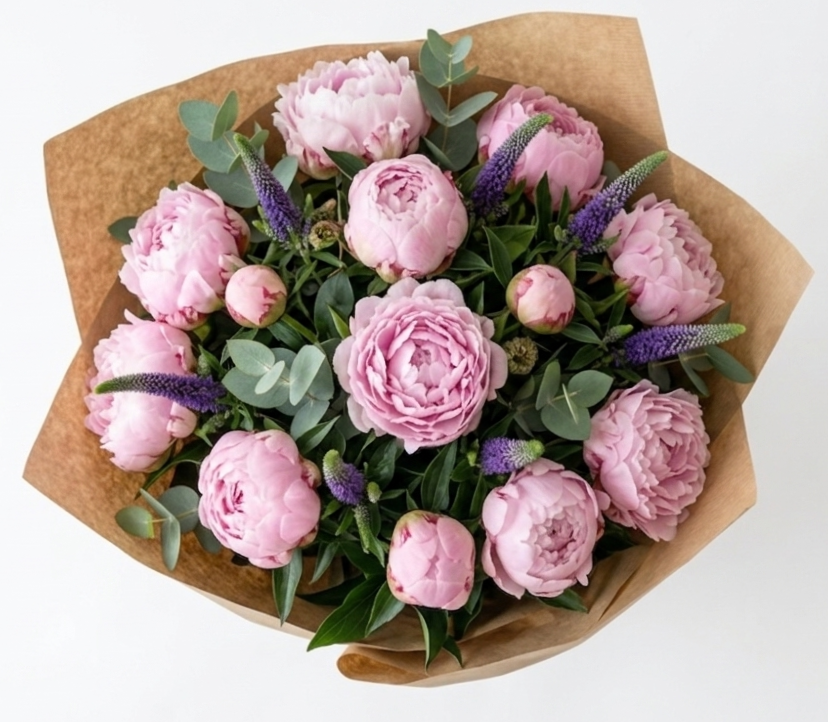 Peonies and Veronica
