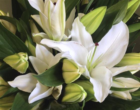 Oriental Lily bouquet