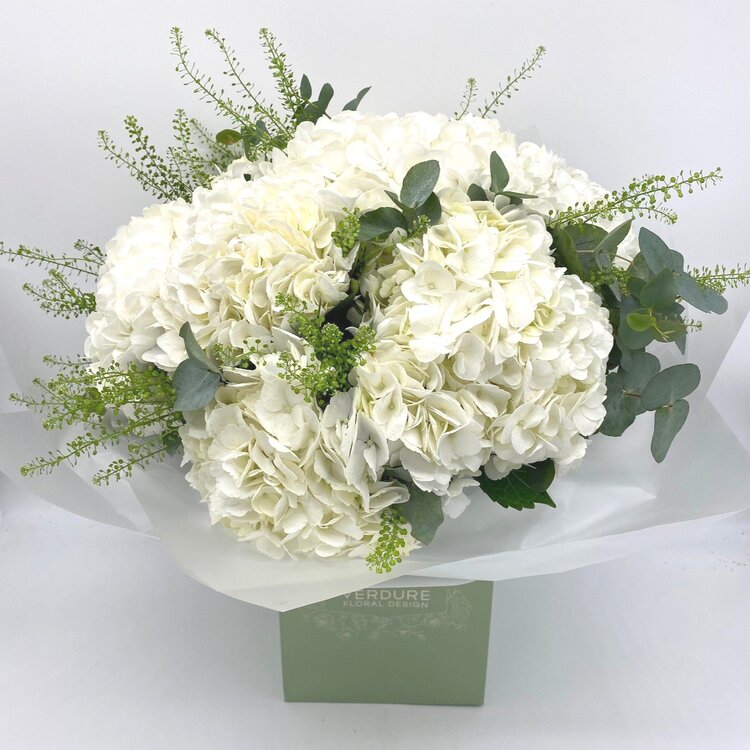 White Hydrangeas