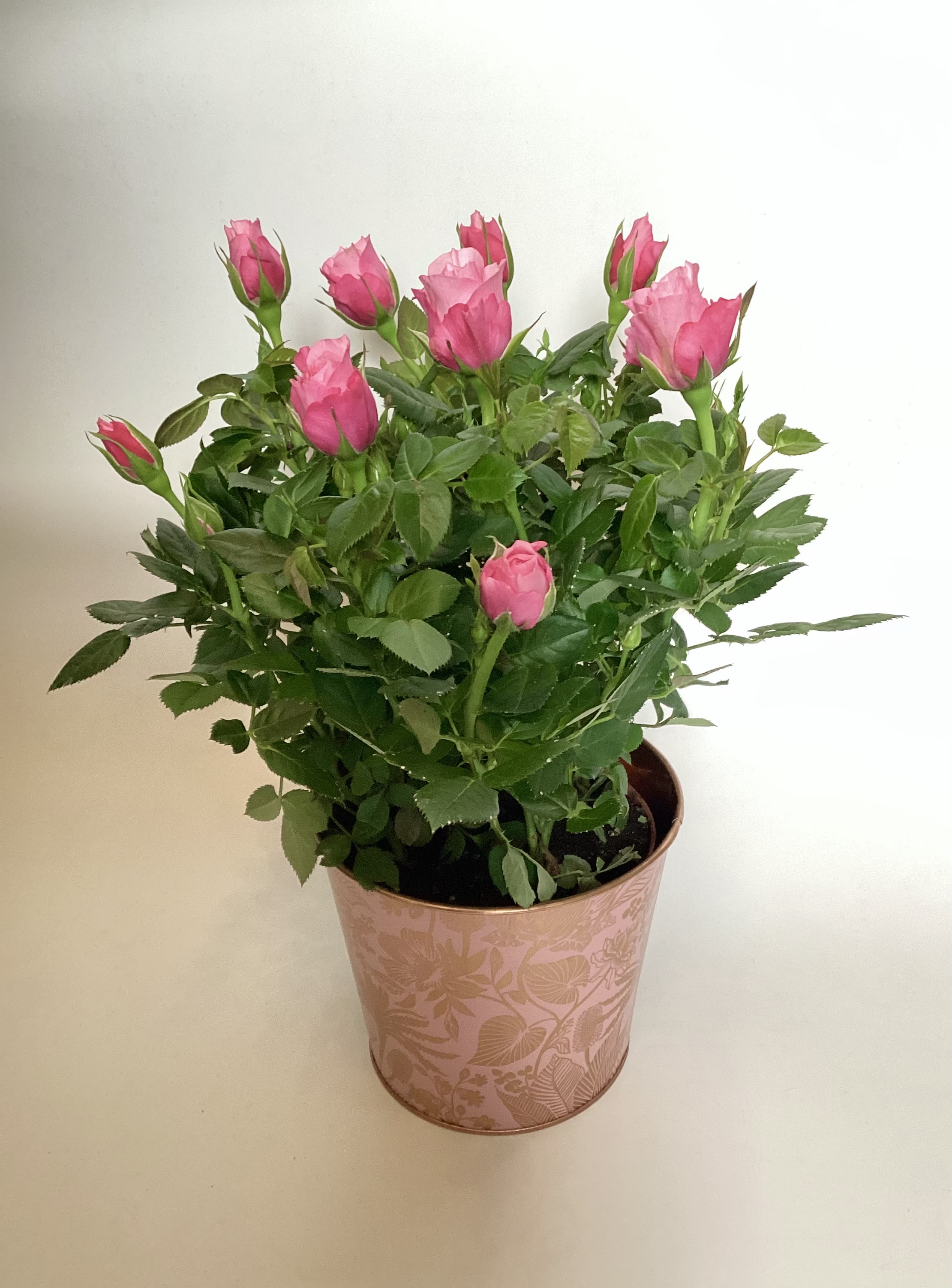 Original by Essence — flowers available for delivery from Floom