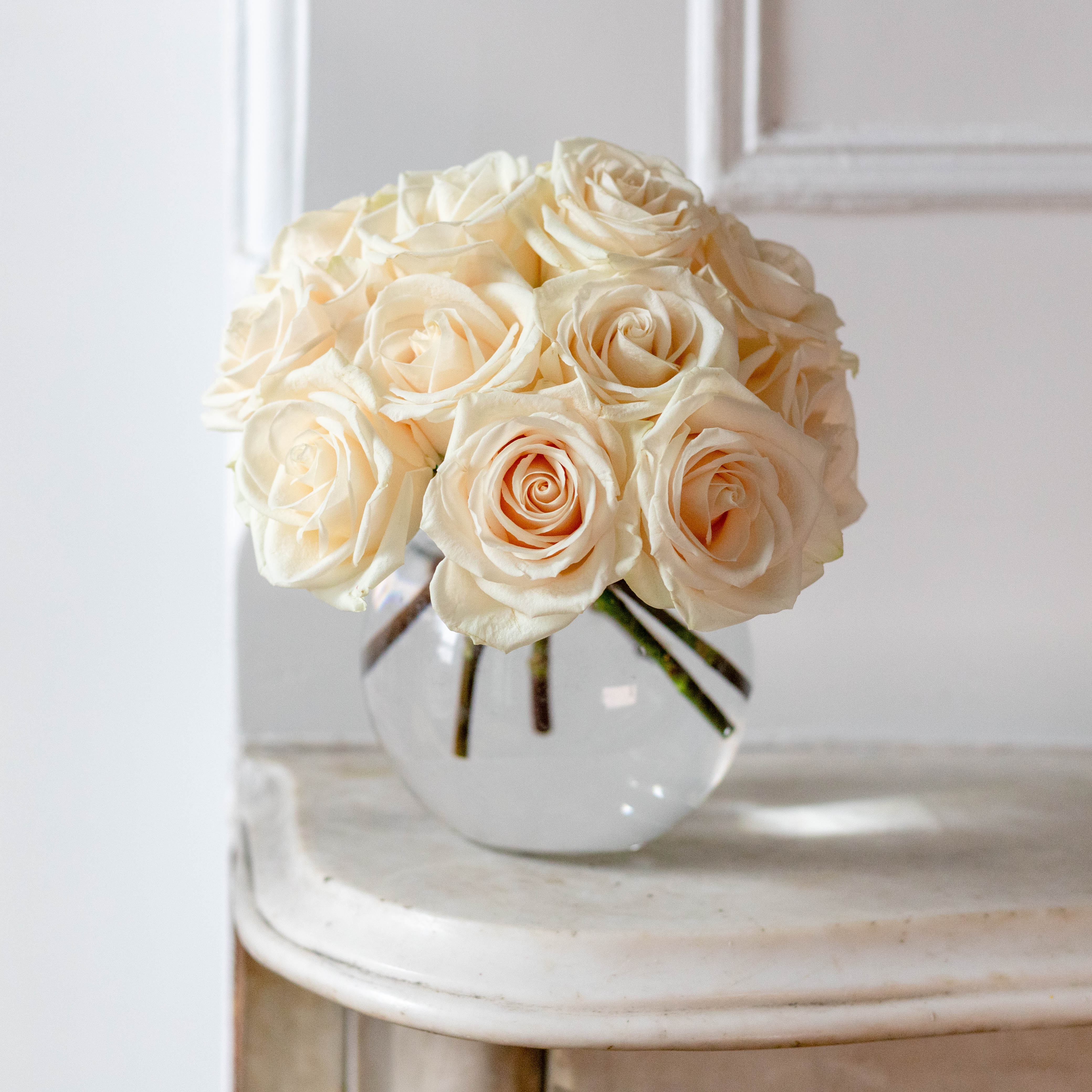 Ivory Roses