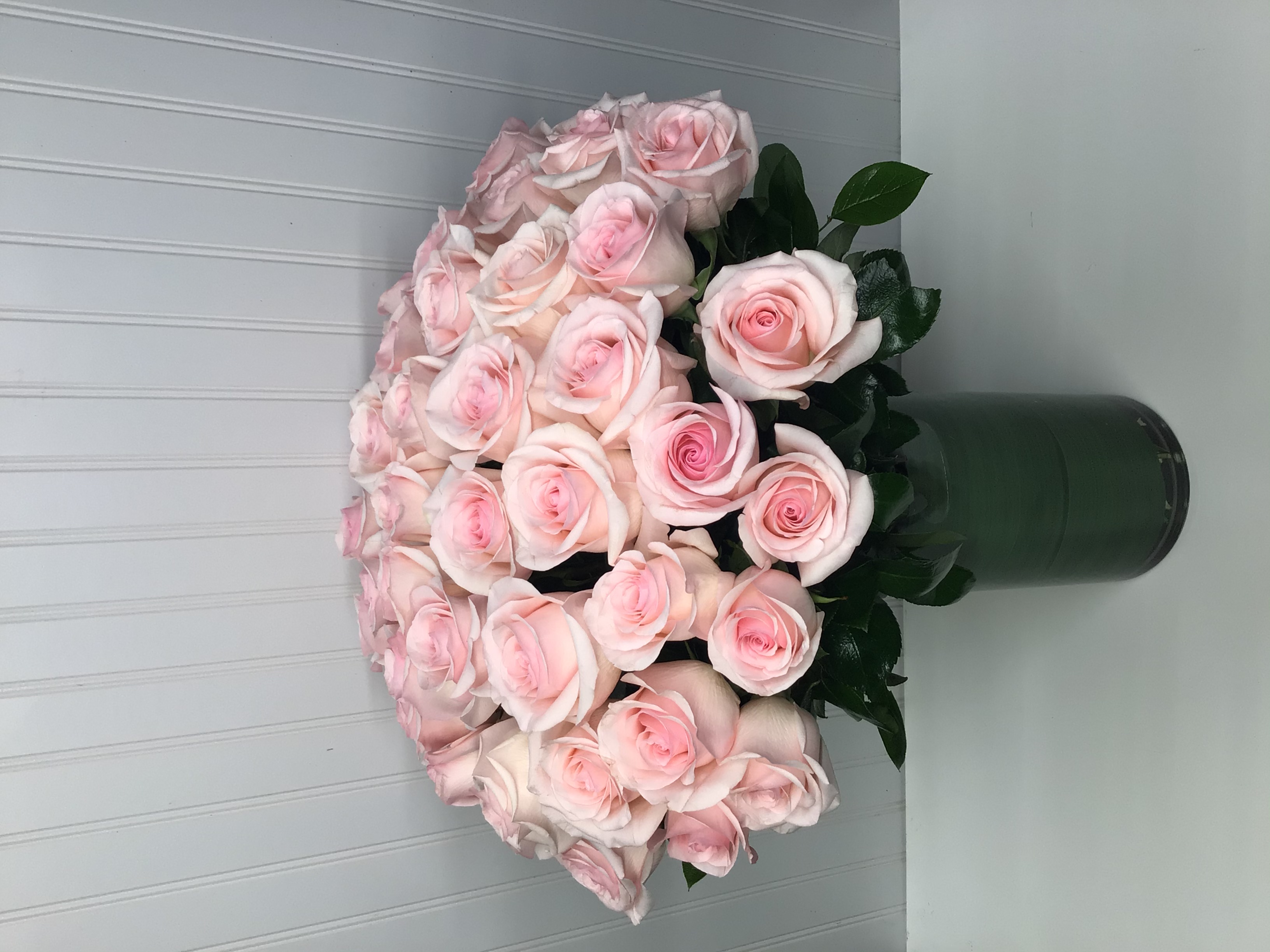 50 sweet pink roses 