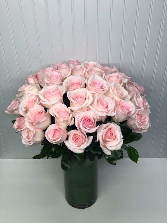 50 sweet pink roses