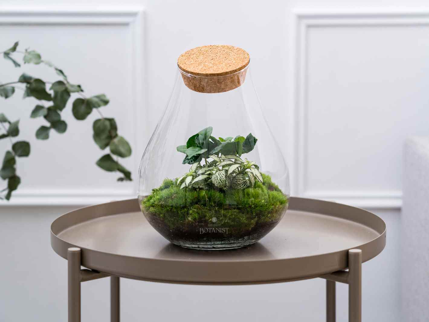 DIY Terrarium H25
