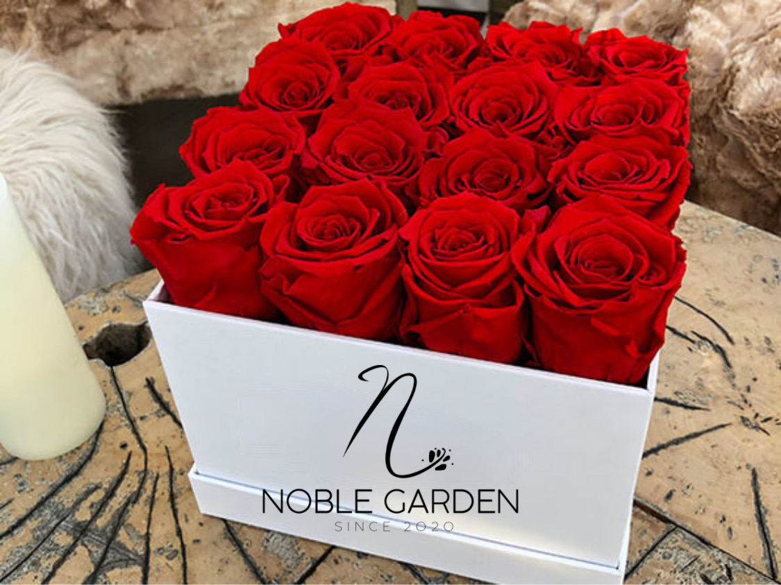 Roses last 1 year