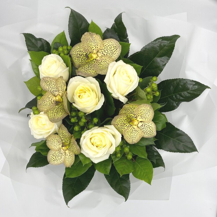 Verdure Joy original