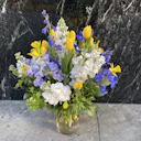 Blue and Yellow Fun