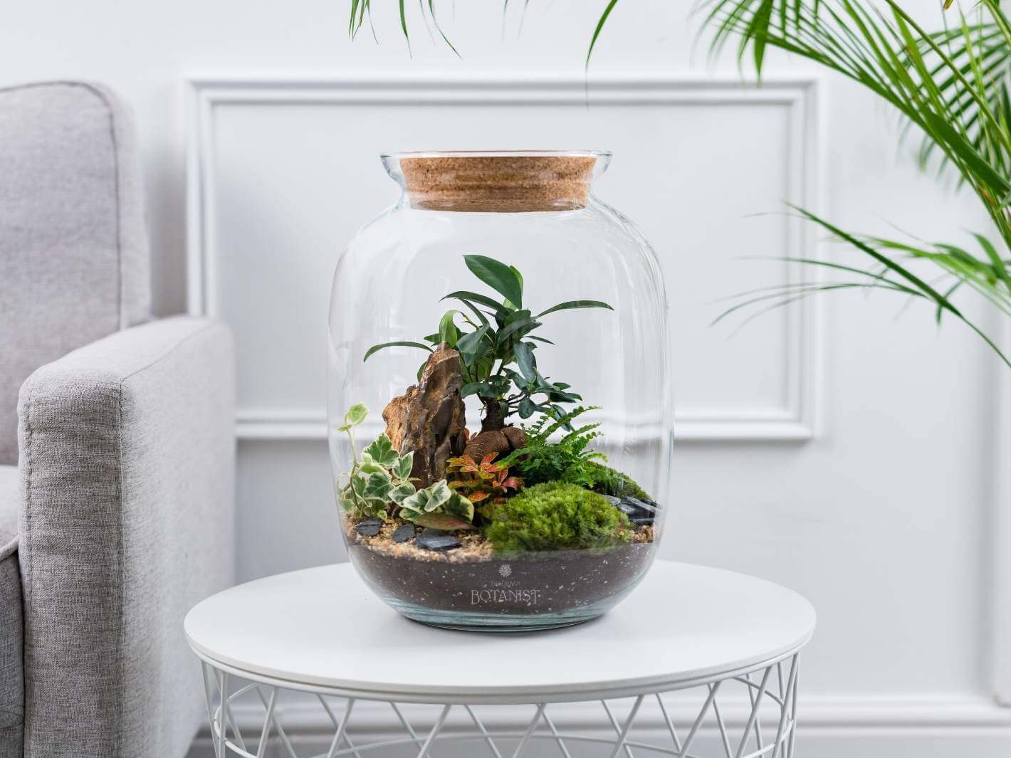 DIY Terrarium H32