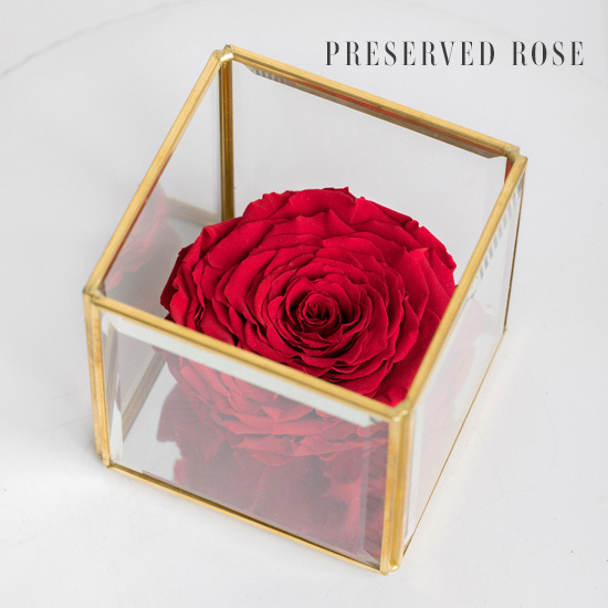 Preserved Rose