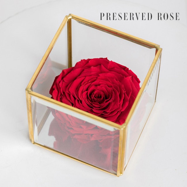 Preserved Rose