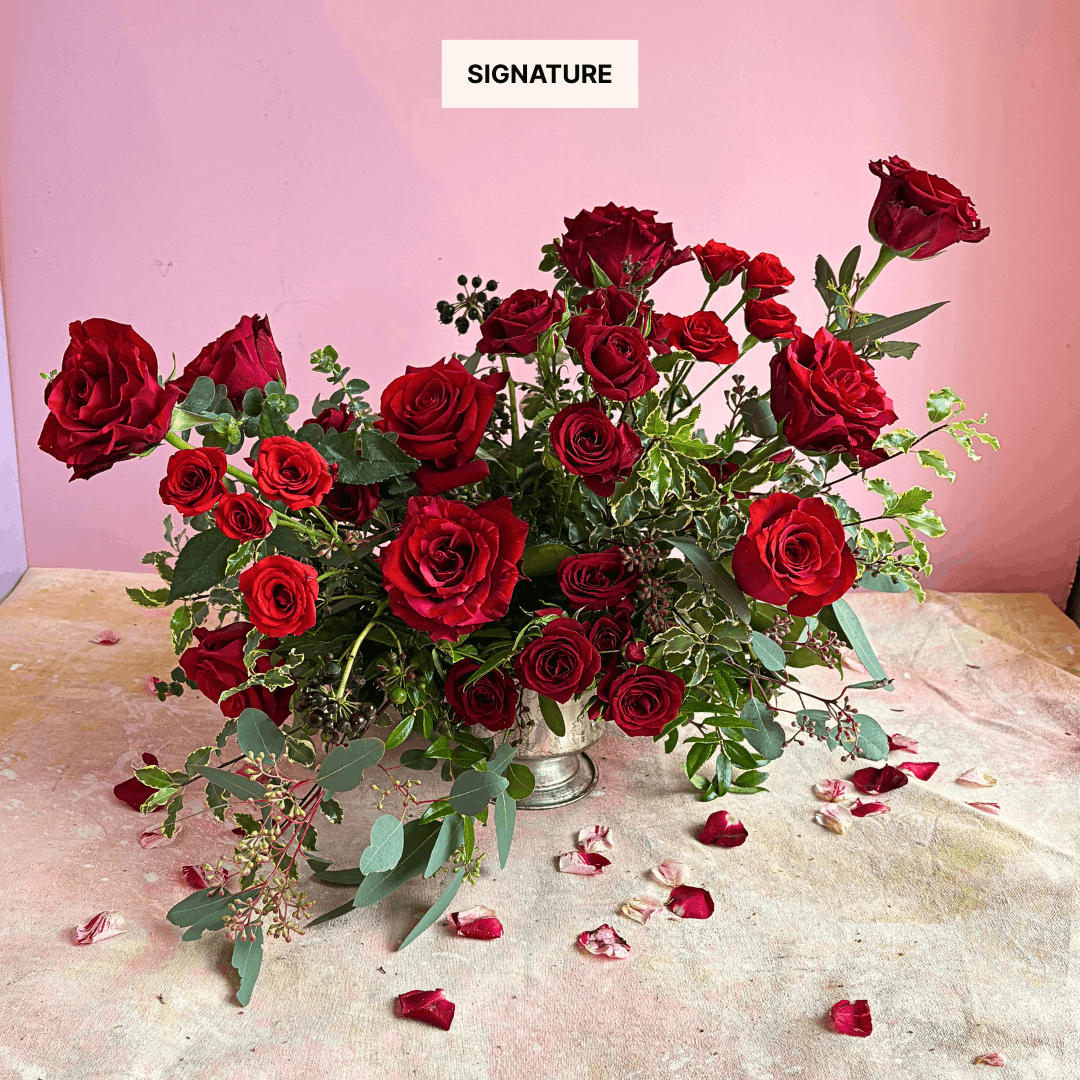 Garden Rose Grandeur