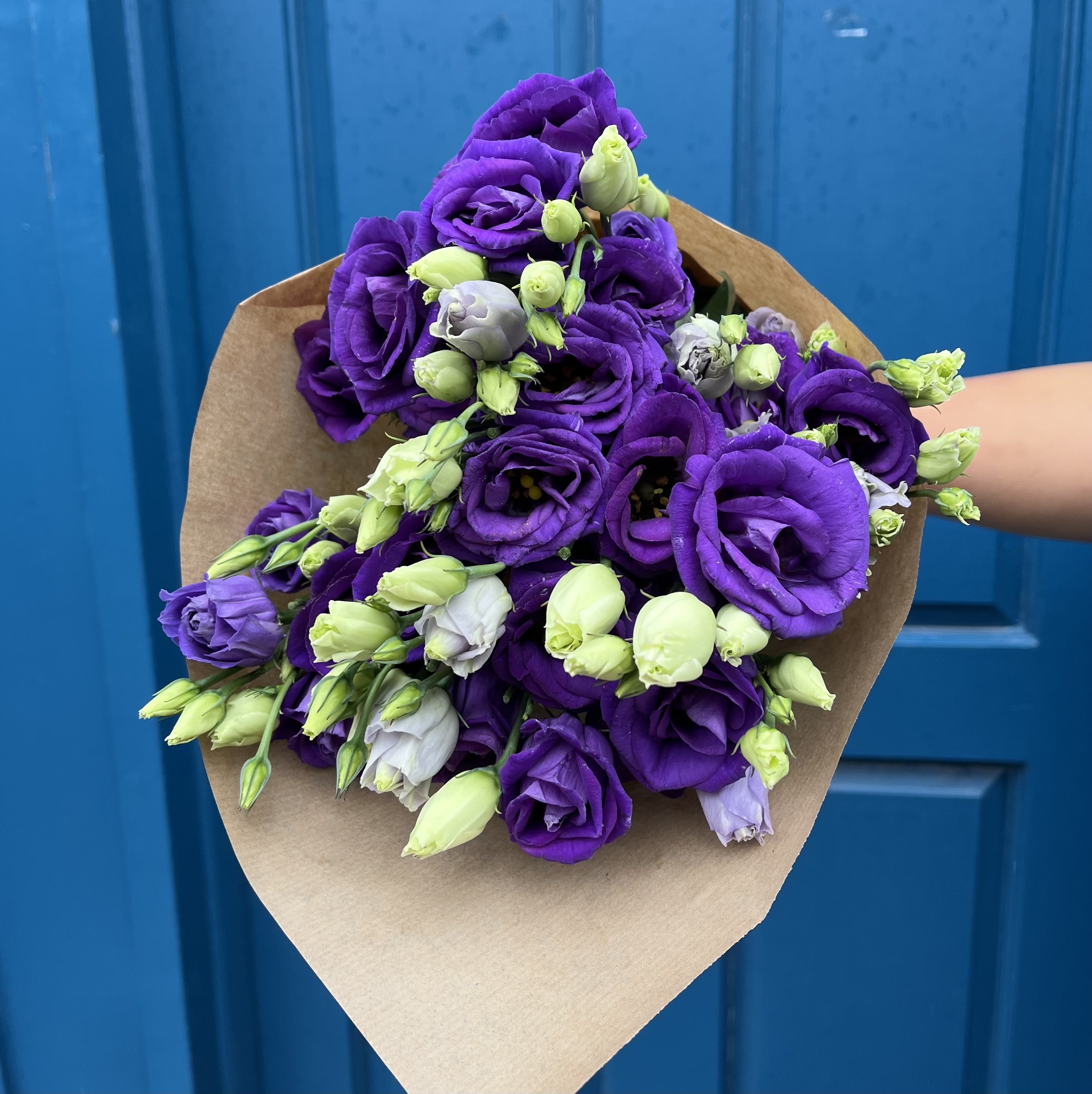 Purple Lisianthus
