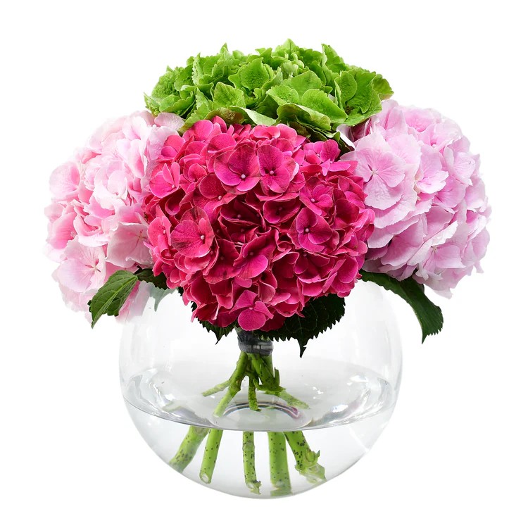 Original by Flowers & Plants Co — flowers available for delivery from Floom