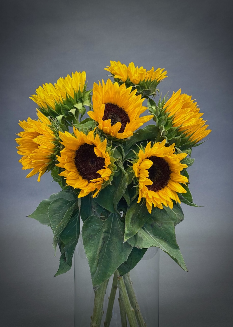 Original by Maples Flowers — flowers available for delivery from Floom
