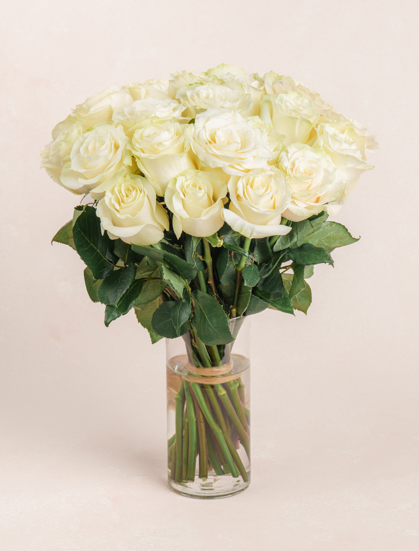 Josephine by Ode a La ROSE- Chicago  — flowers available for delivery from Floom