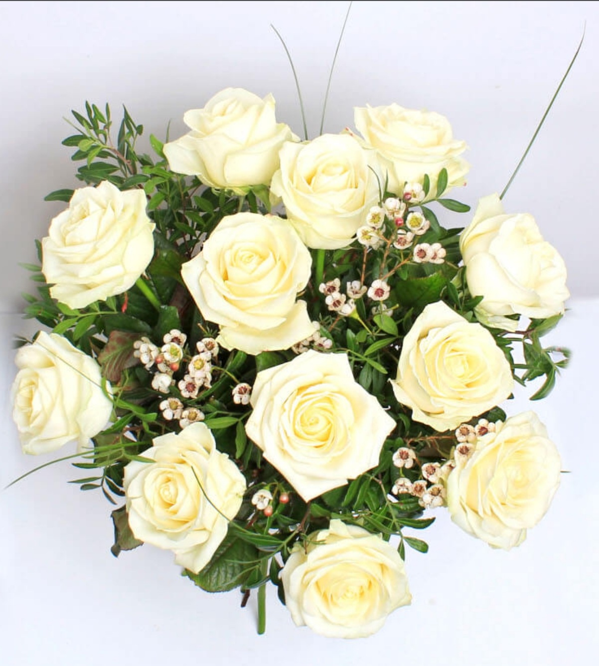 12 White Roses 