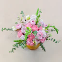 Spring Blossom