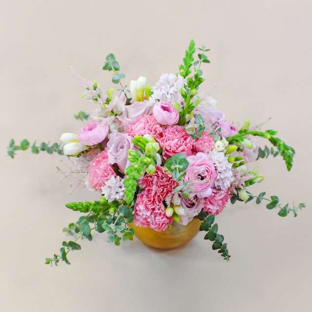 Spring Blossom