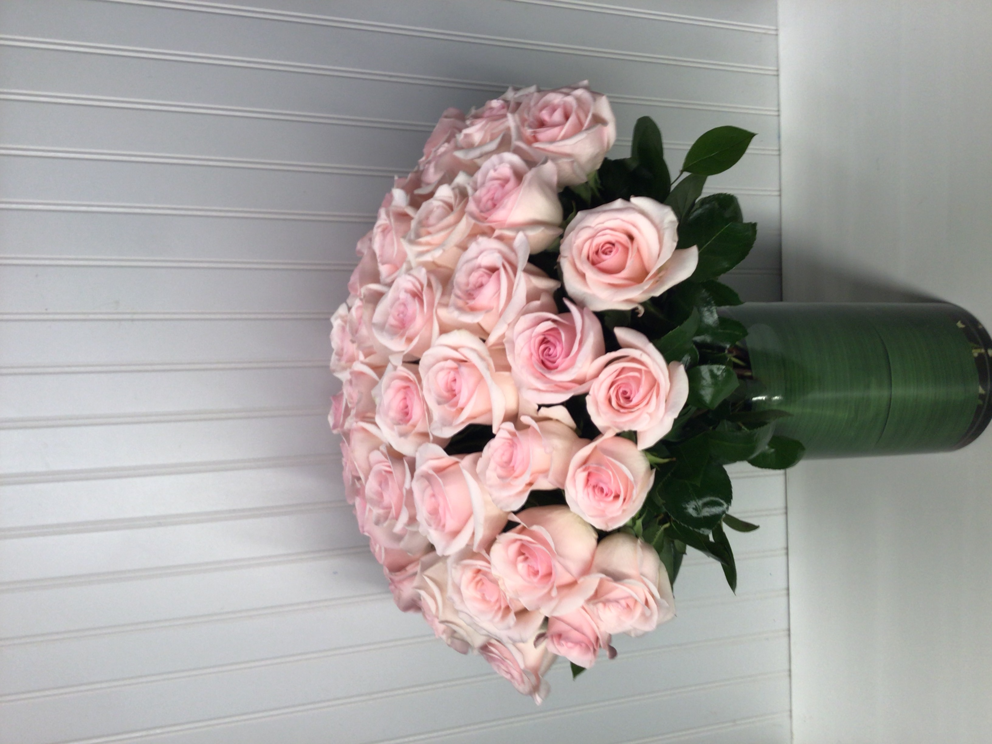 50 sweet pink roses 