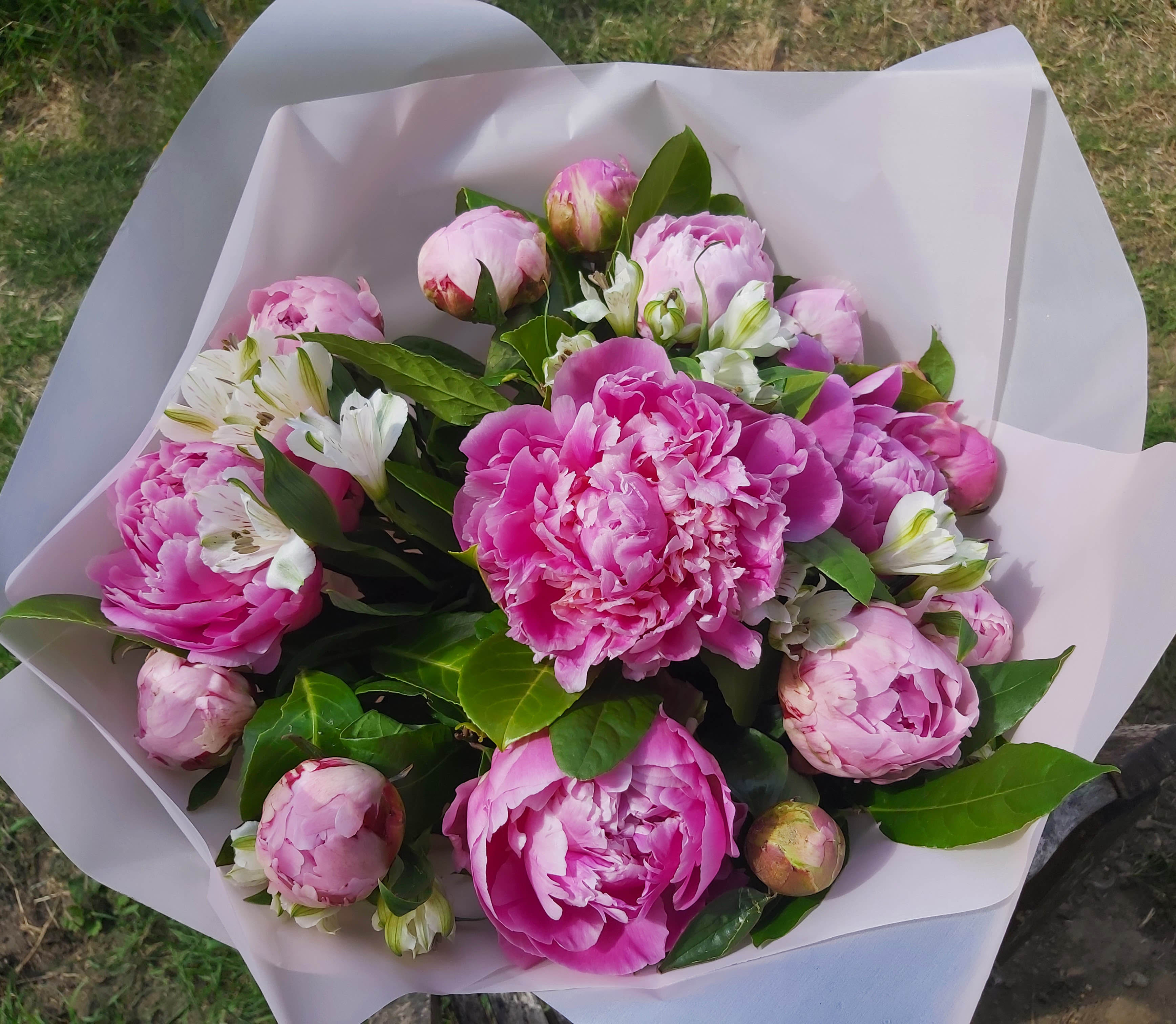 Pink peonies bouquet by Iridescent Florals — flowers available for delivery from Floom