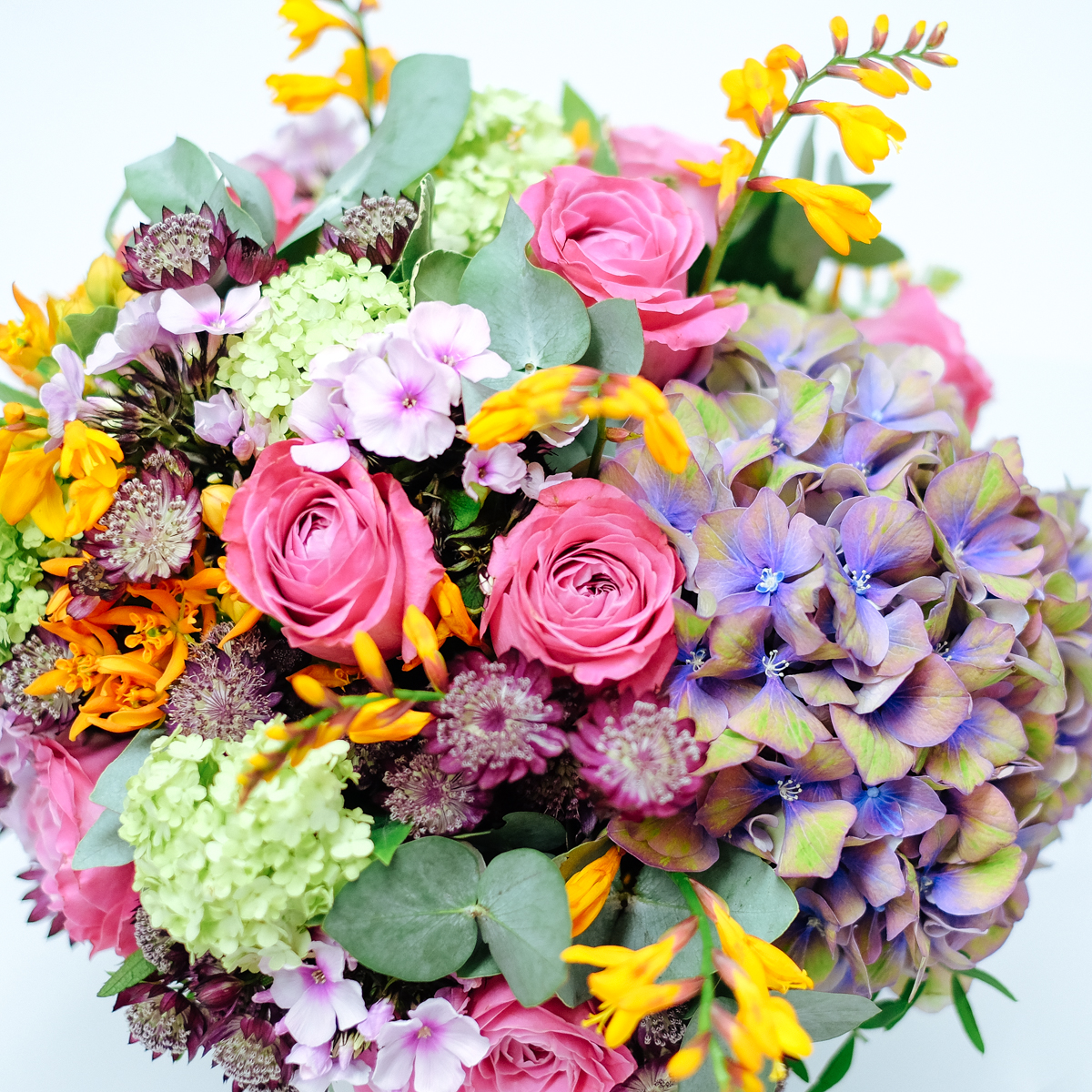 Golden Gambol original