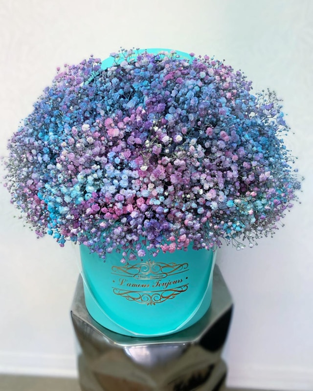 Gypsophila Box