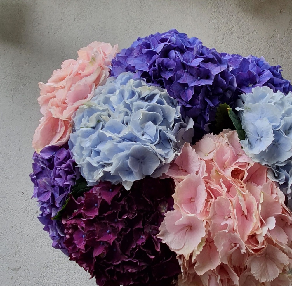 Hydrangea Bouquet