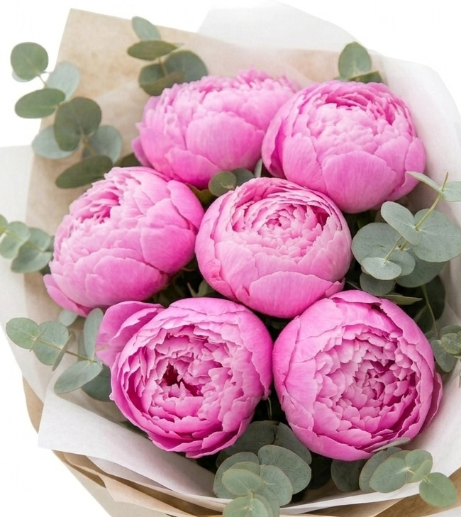The Peony Passion