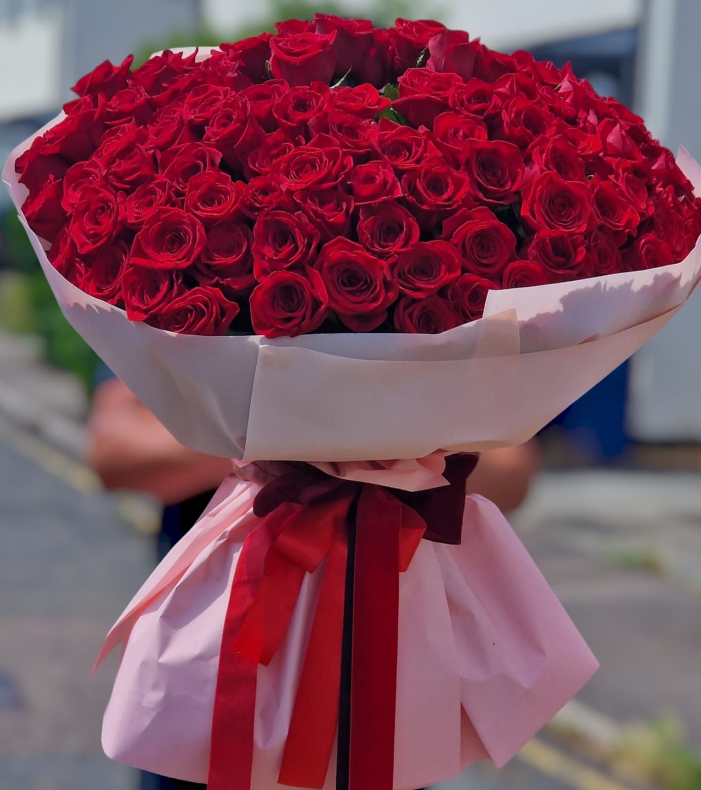 100  Long Red Roses