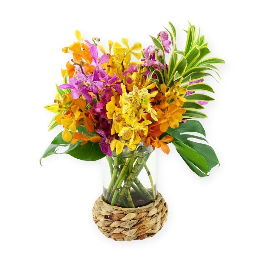 ISLAND ORCHID FLORAL