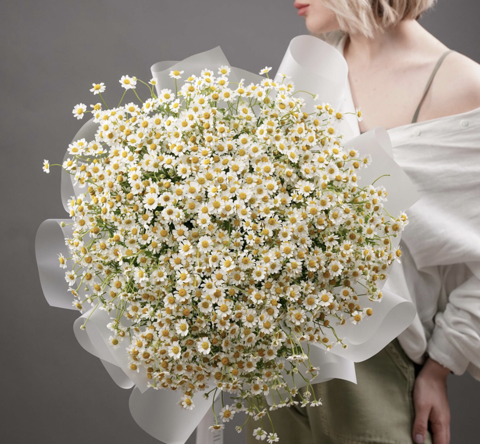 Chelsea Daisy Delight