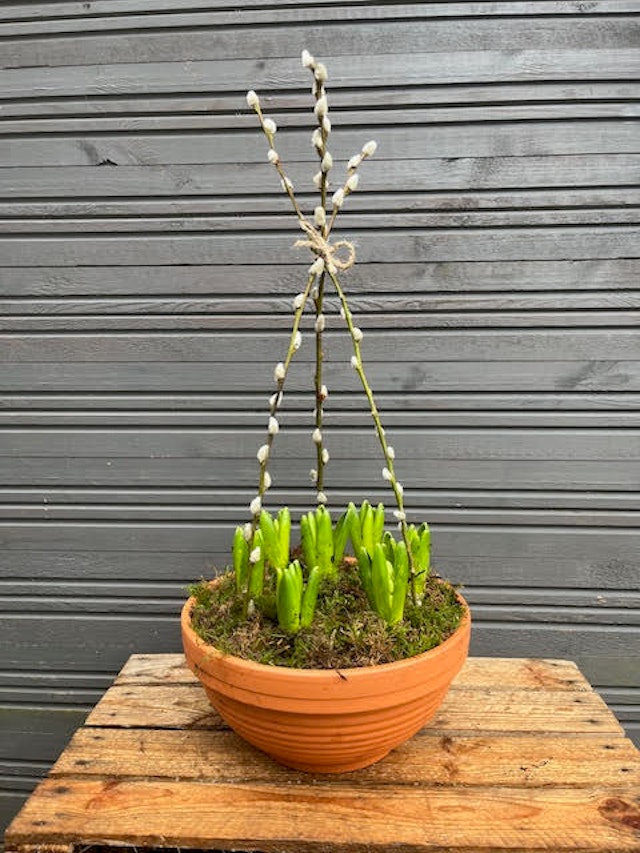 Terracotta bulb bowl