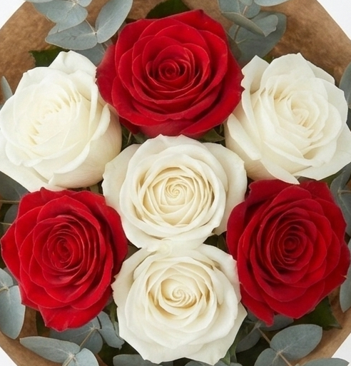Crimson & Cream Class