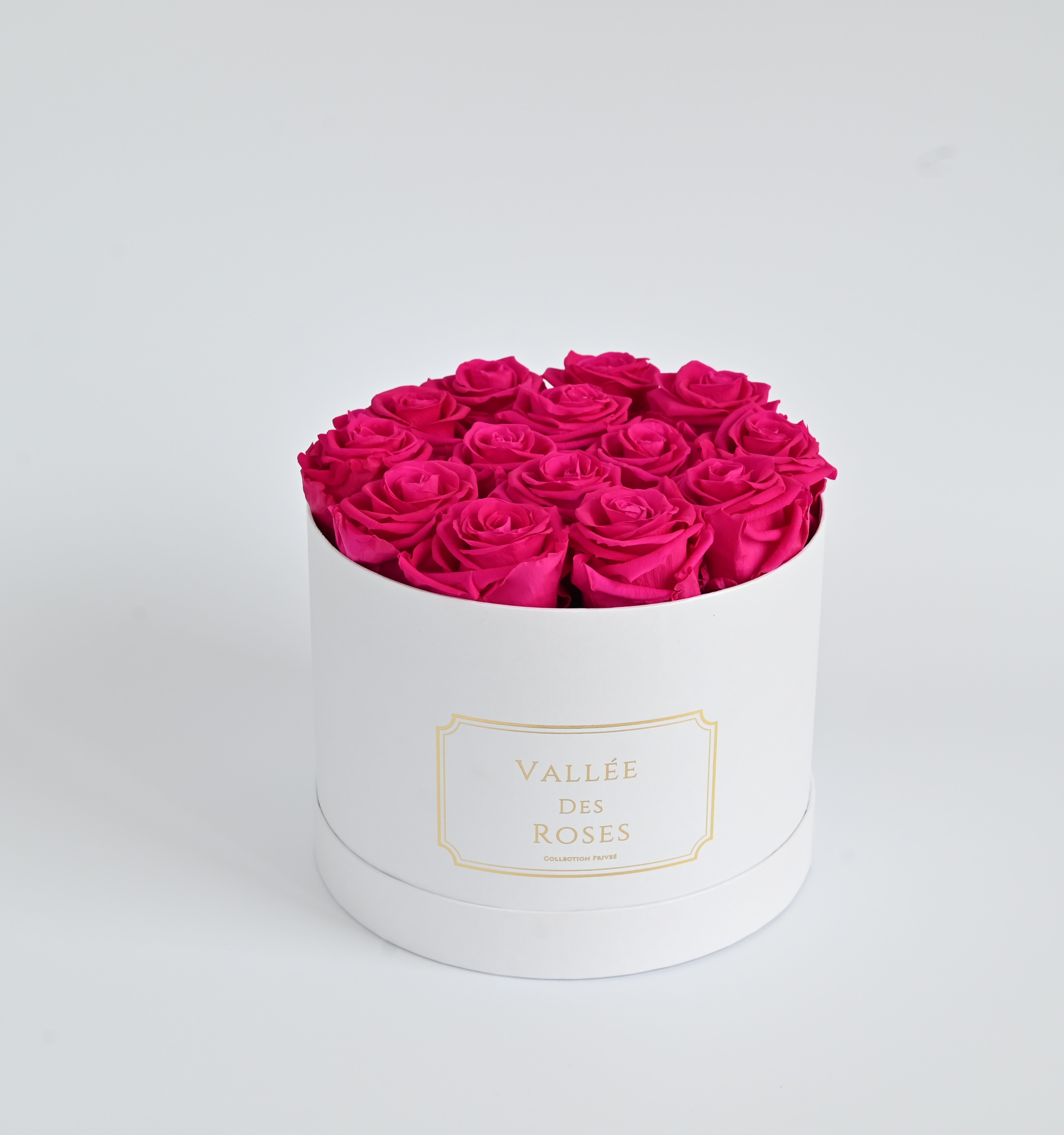 Fuchia Preserved Rose