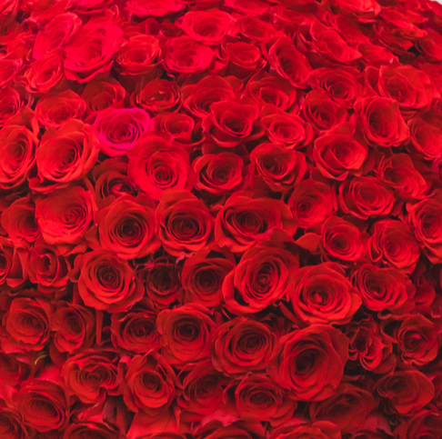 The Ultimate Romance