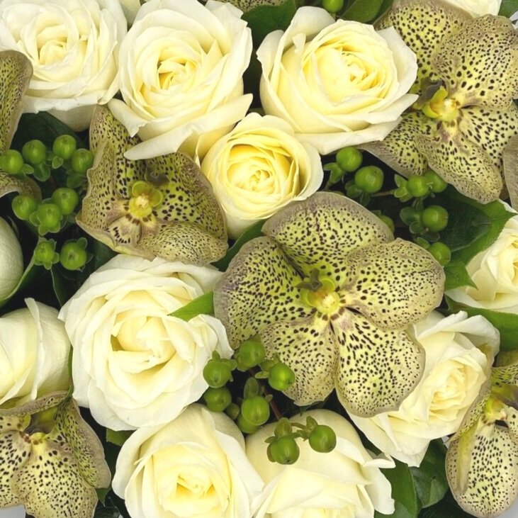 Verdure Joy original