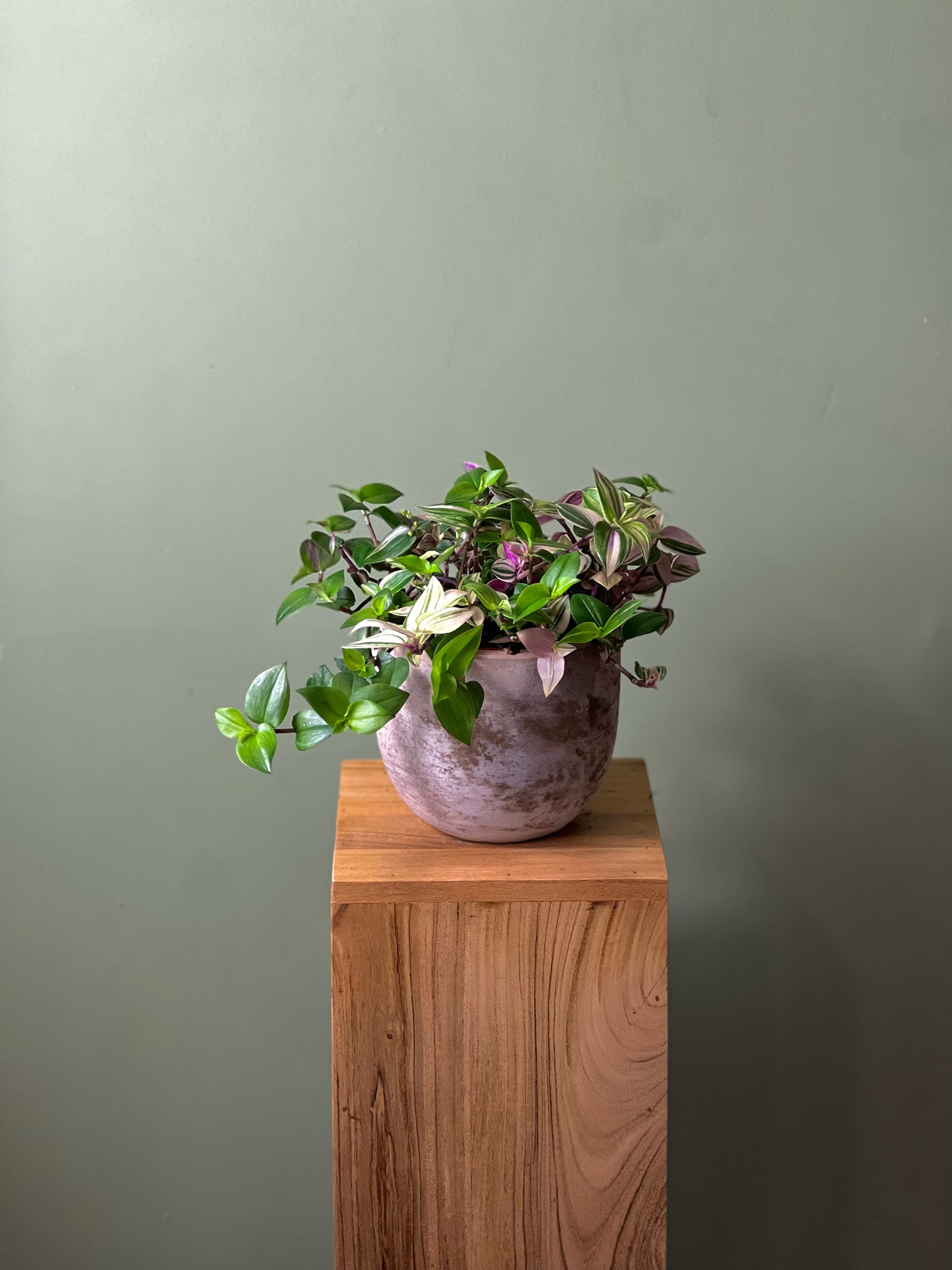 Original by F For Flower — flowers available for delivery from Floom