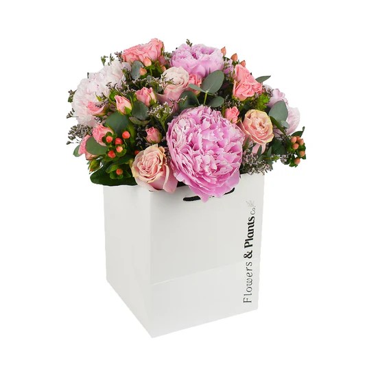 Original by Flowers & Plants Co — flowers available for delivery from Floom