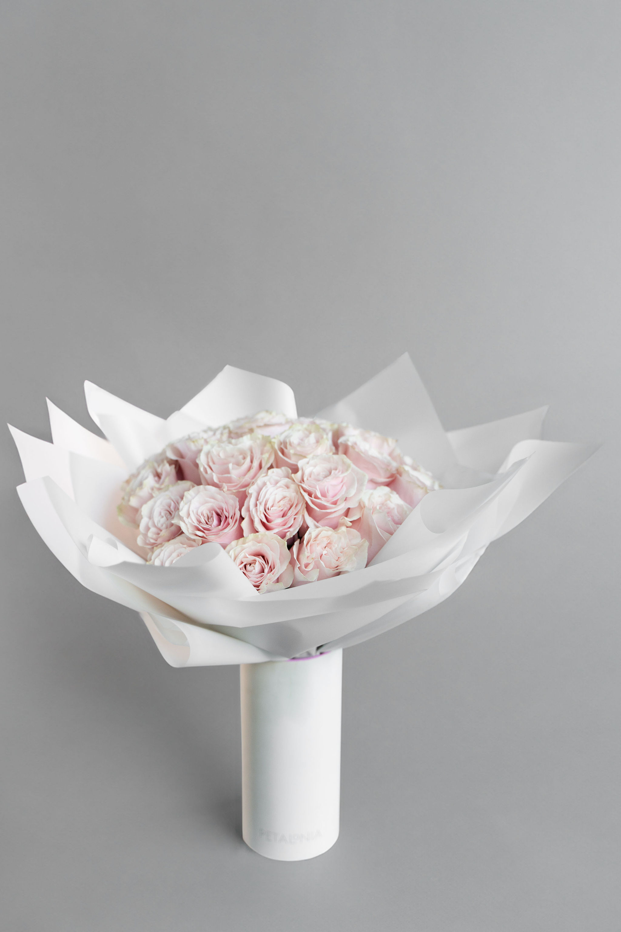 Pink Roses PETALONIA