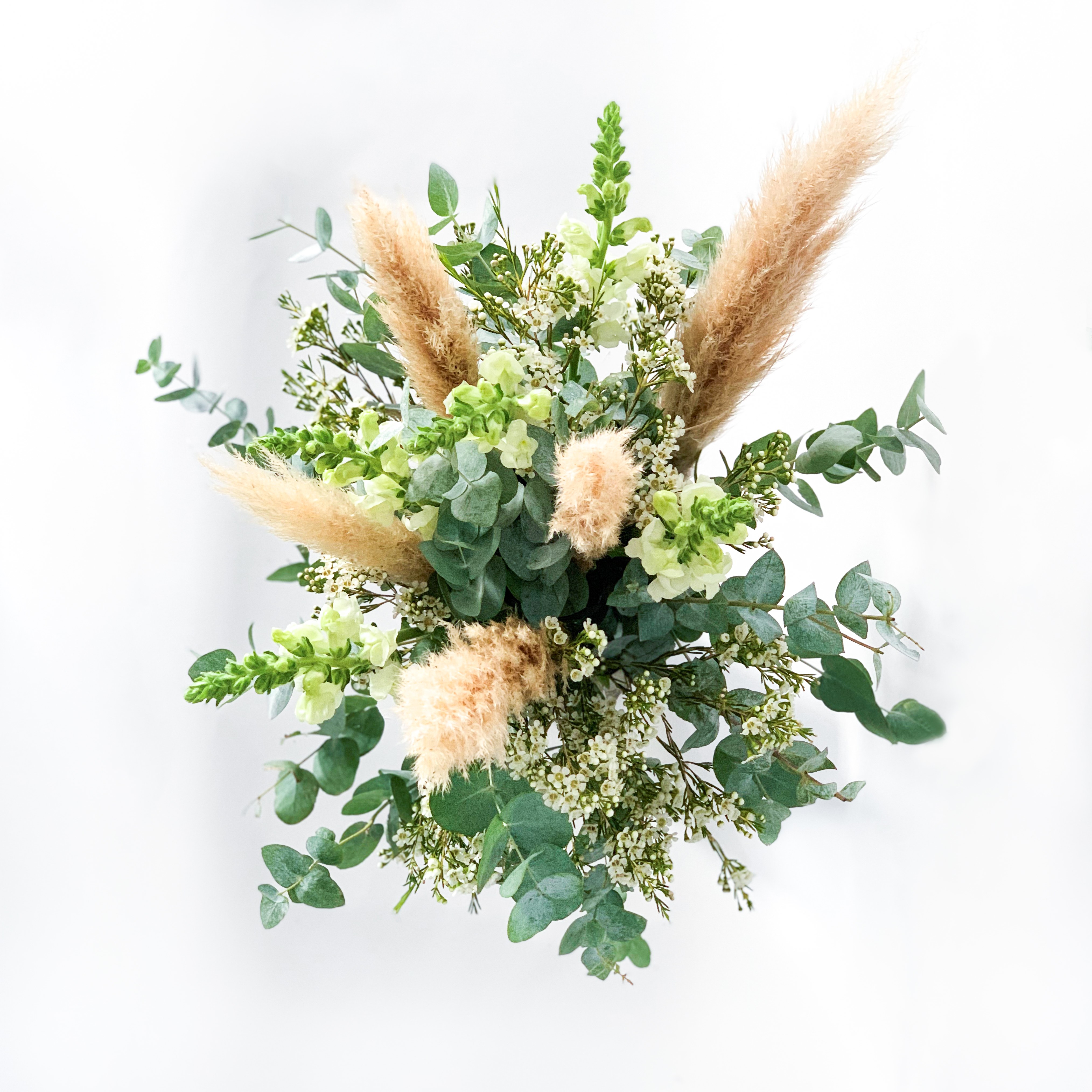 Natural Pampas Bunch