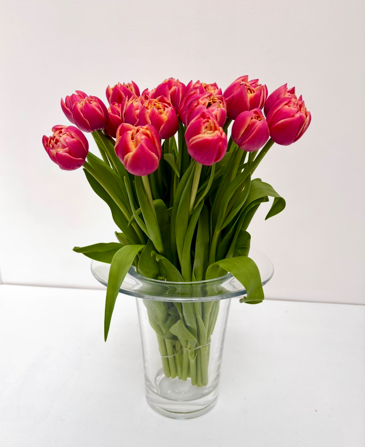 20 tulips