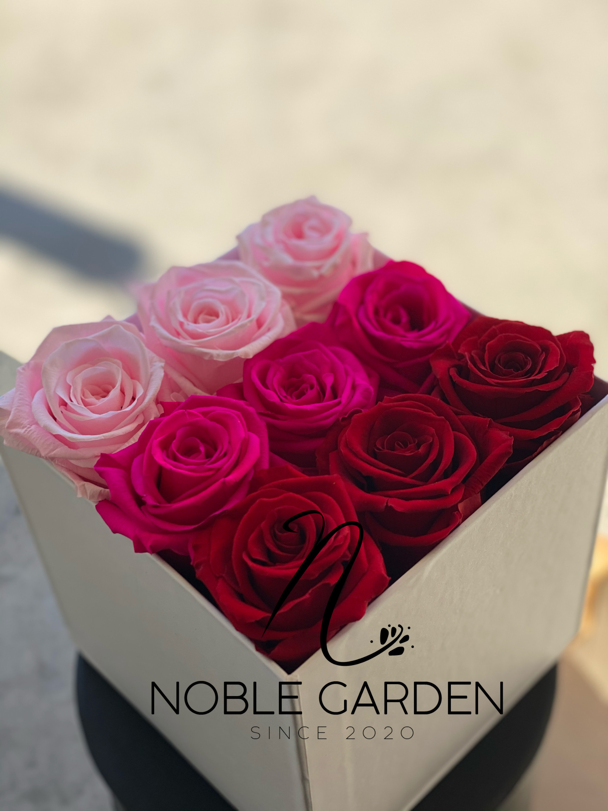 This roses last 1year