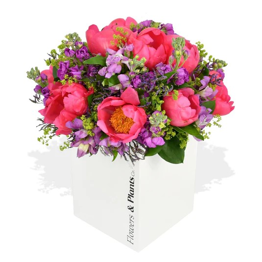 Original by Flowers & Plants Co — flowers available for delivery from Floom