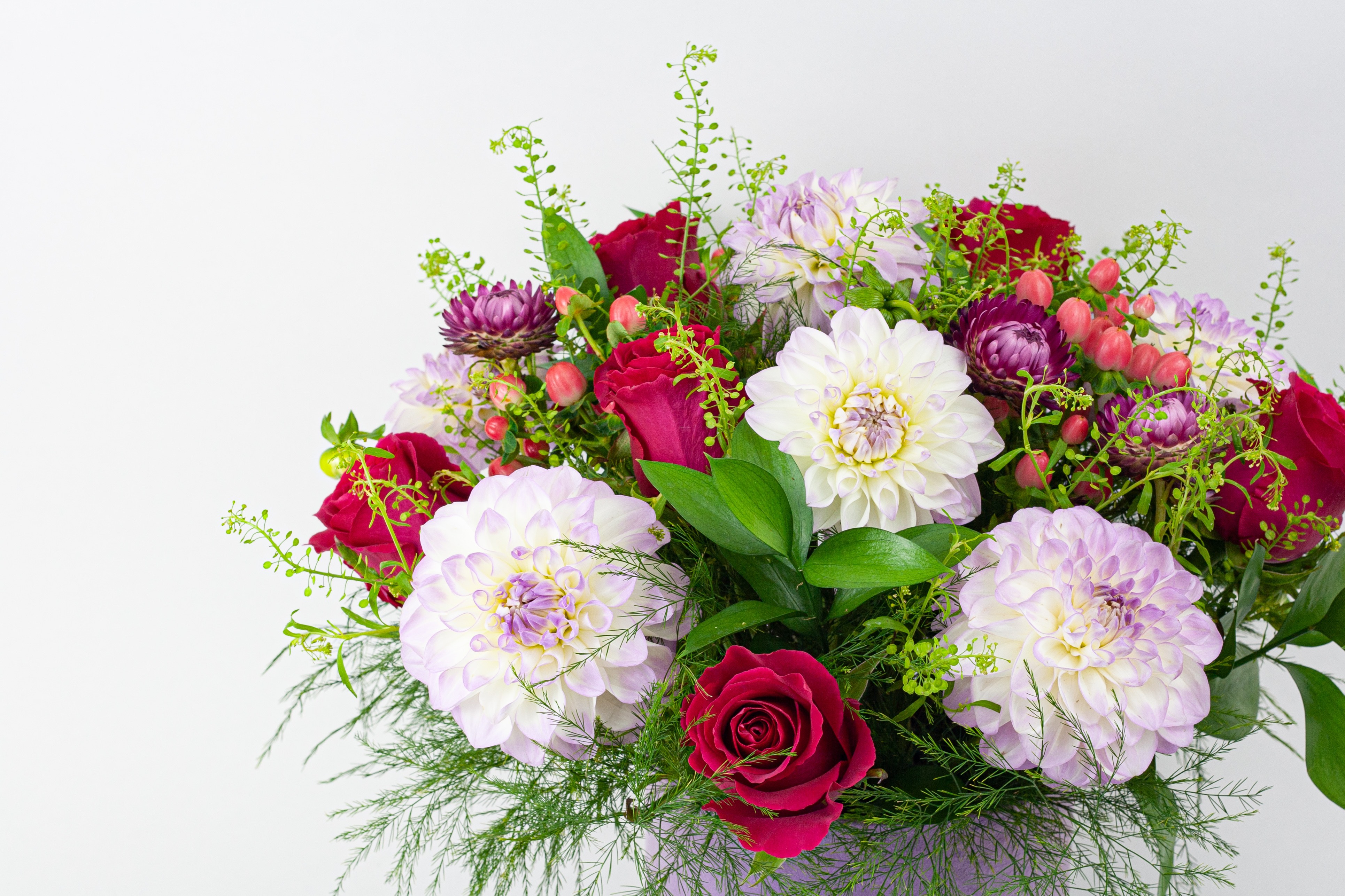 Snake Plant original