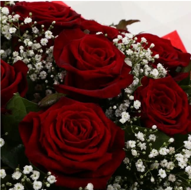 Red Roses