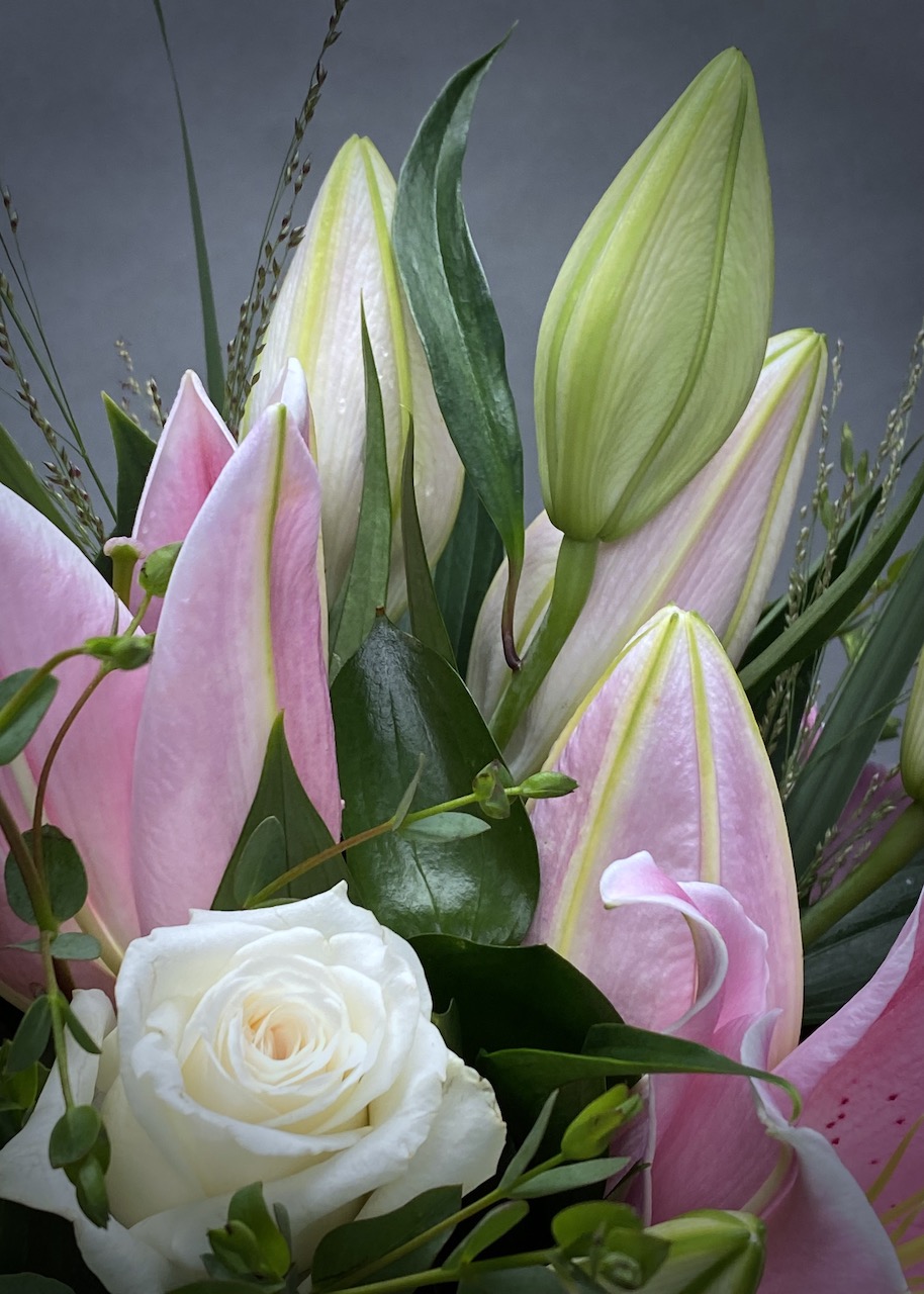 Lily