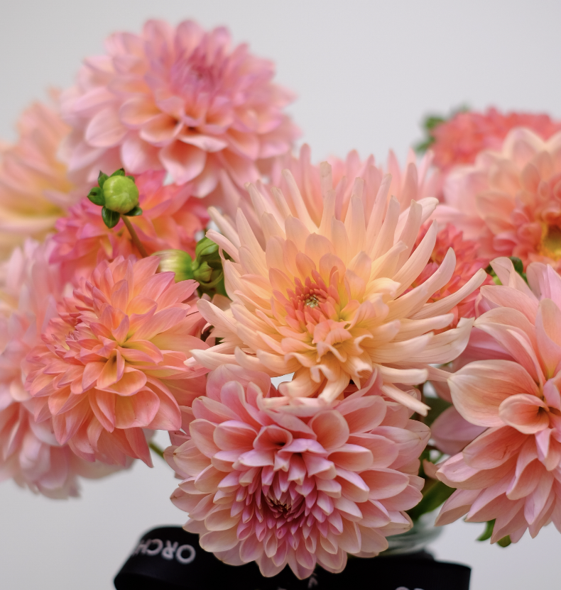 Original by Orchidya — flowers available for delivery from Floom