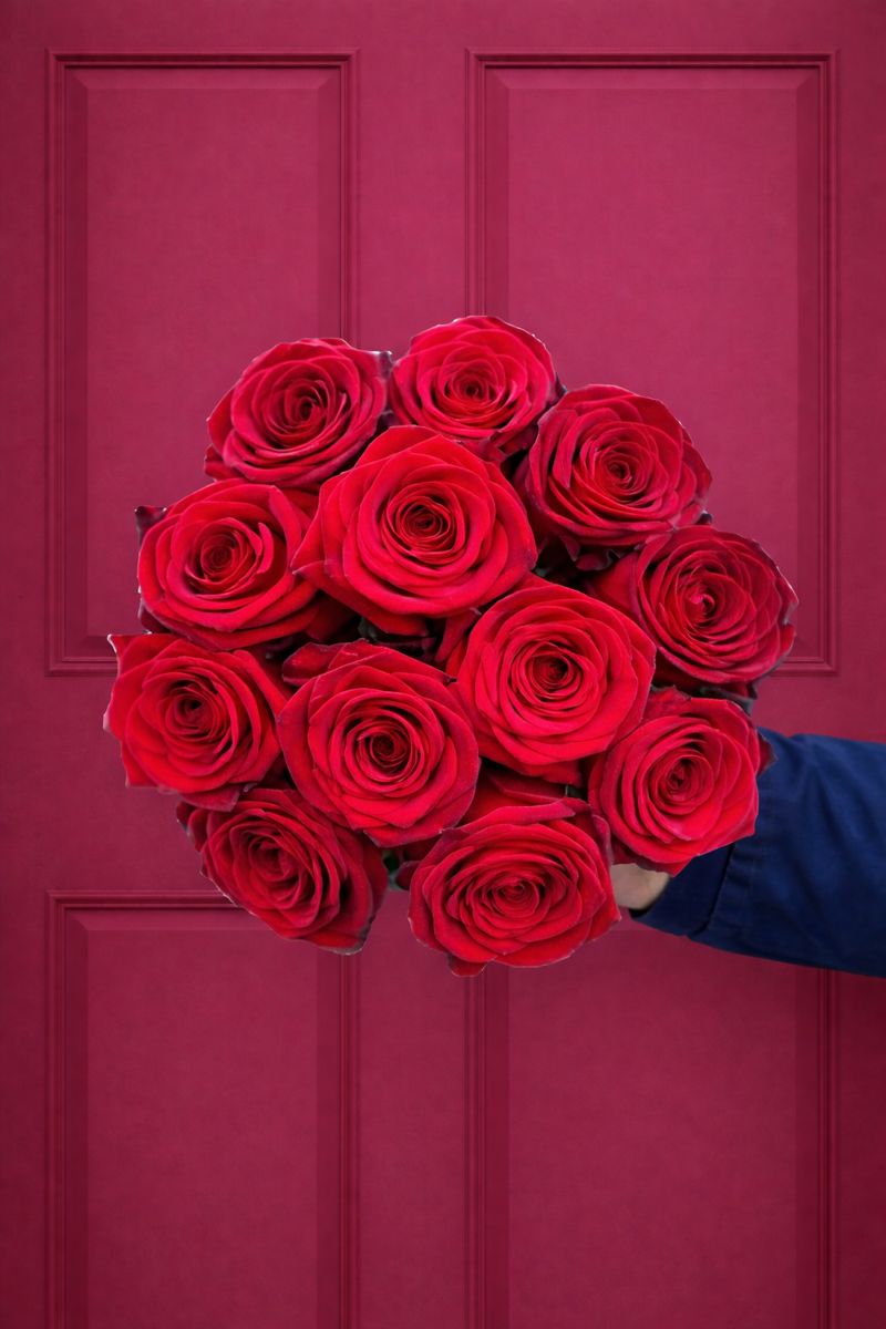 Red Rose - One Dozen